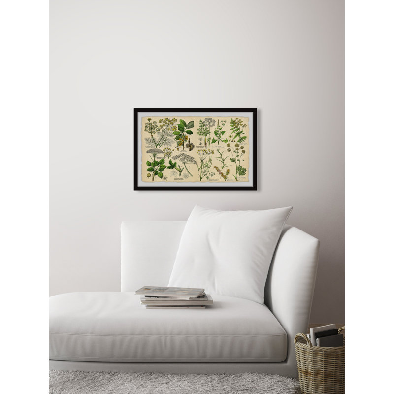 Selinum Carvifolia - Single Picture Frame Painting, 41cm H x 61cm W x 3.81cm D