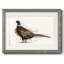 Pheasant Splash 1-1796011476-1796011502