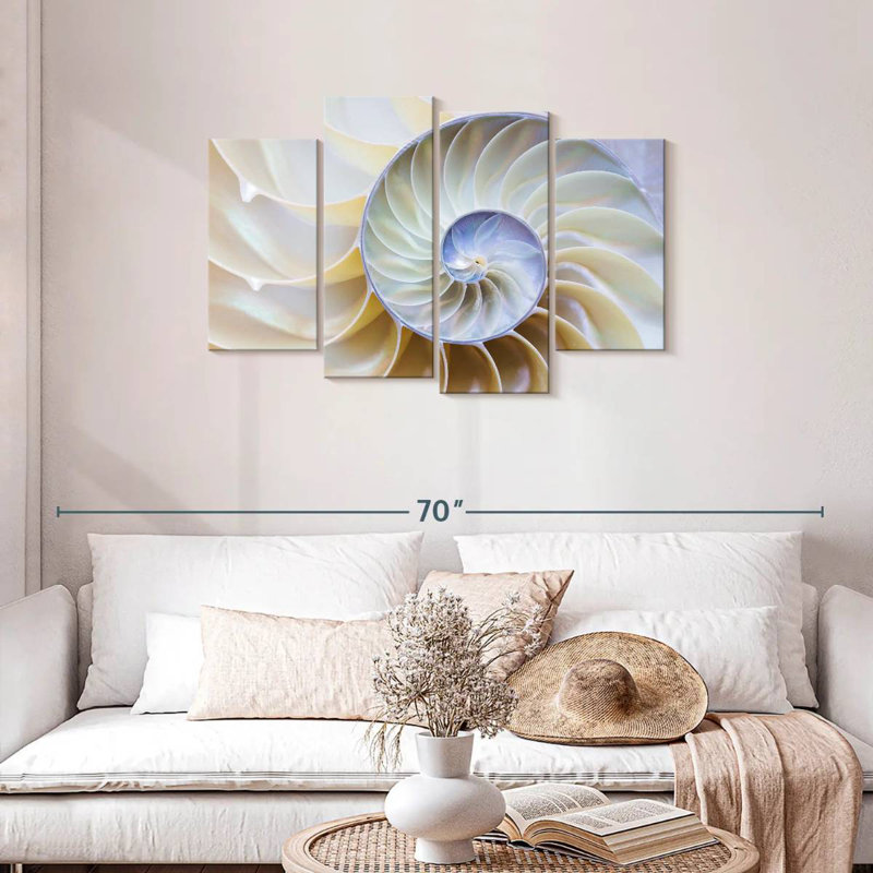 Empty Nautilus Shell, 27" H x 43" W