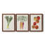 Toile encadrée organique Premium Veg II - prête à être accrochée-2114597066-2114597073