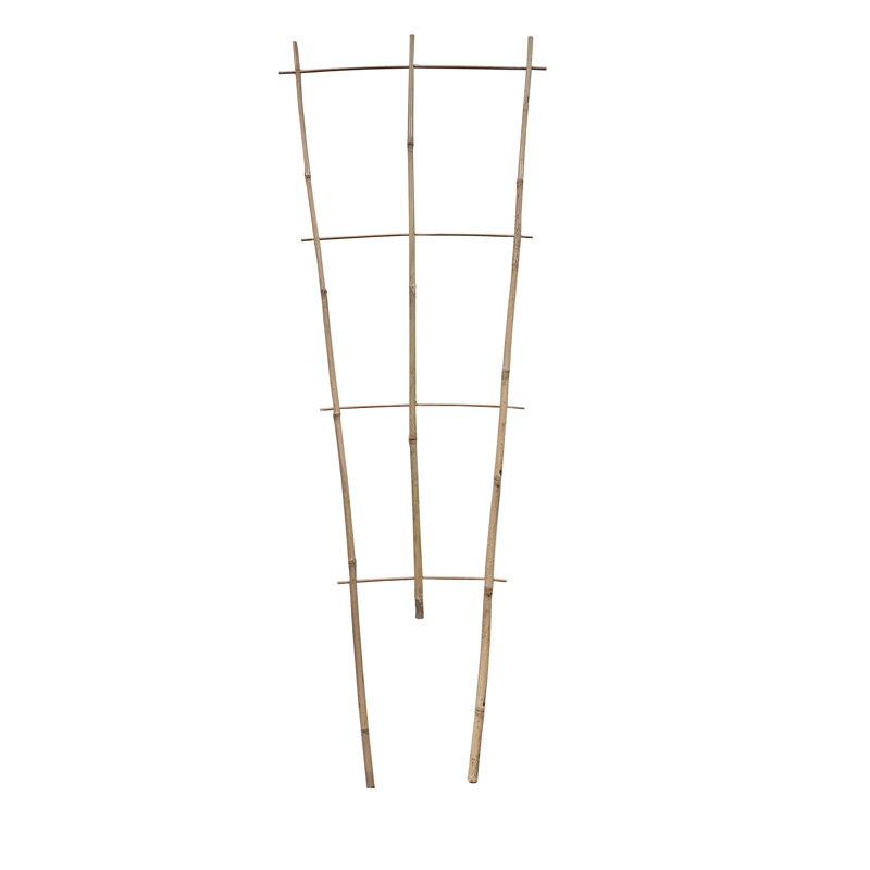 Treillis échelle de bois, H 48 po x l 17,5 po x P 0,375 po