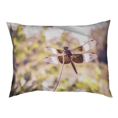 Coussin stylisé libellule Burnell