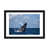 Black Framed Fine Art Paper is unavailable
