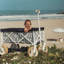 Folding Beach Cart-84598864