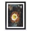 Blooming Cacti by R.J. Thornton - Picture Frame Painting Print-55544572-55544571