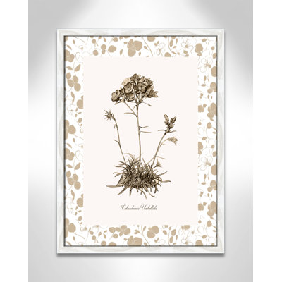 Neutral Imperial IV Print by Kelly Donovan