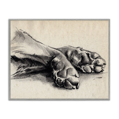 Patte de chien gris anthracite