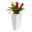 Arrangement floral triple bromeliad en pot-26161105-24745654