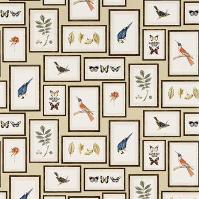 Picture Gallery Wallpaper