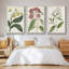Ensemble de 3 pièces encadrées sur toile Antique Botanical Collection VI-97760383-97760382