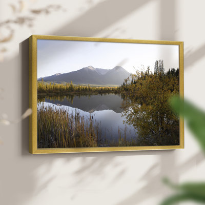 Low Light on Vermillion -Framed Print - Restickable
