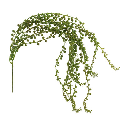 String Of Pearls Arrangement