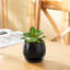 TYHPOT Ceramic Pot Planter-1035786449