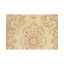 Hand-Knotted High-Quality Cream Area Rug
