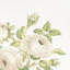 Loudon Rose Wallpaper-55967388