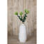 Pincushion Protea Spray-111171268