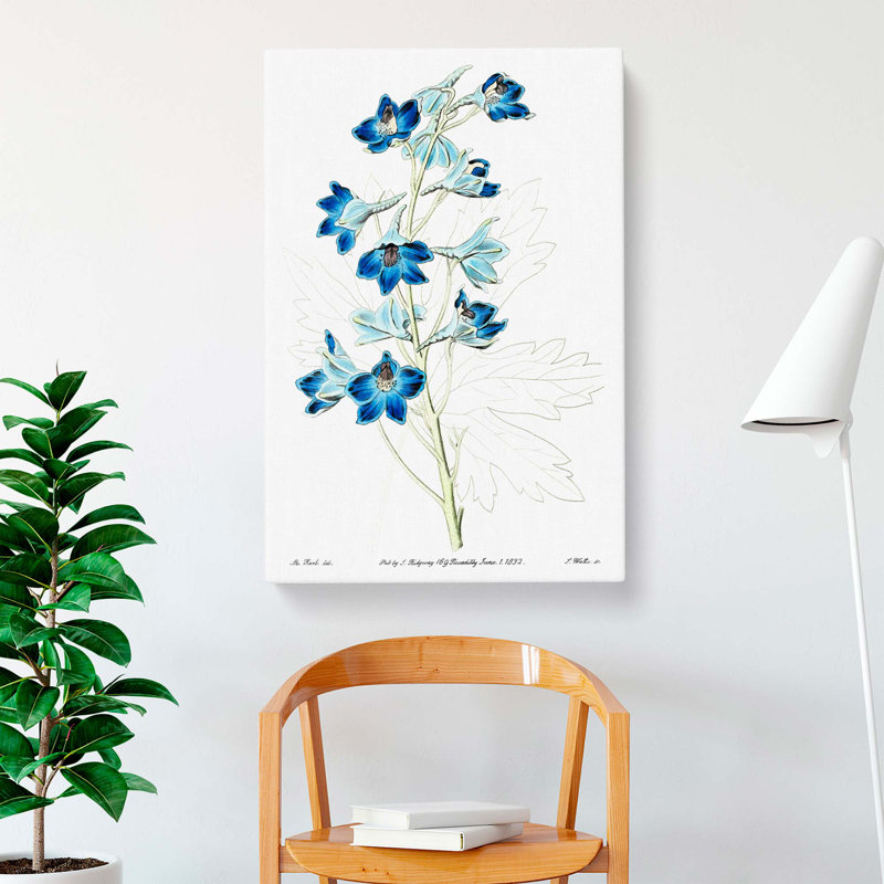 Blue Larkspur Flowers - Wrapped Canvas Painting, 60cm H x 40cm W x 3cm D