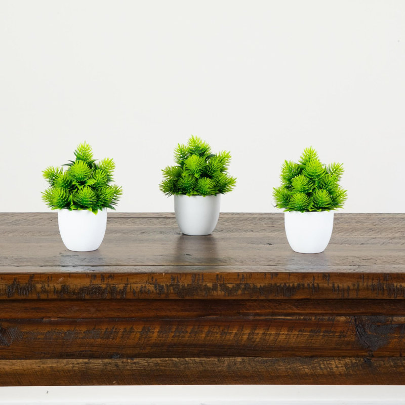 6 po Cactus artificiel en pot rond blanc - ensemble de 3