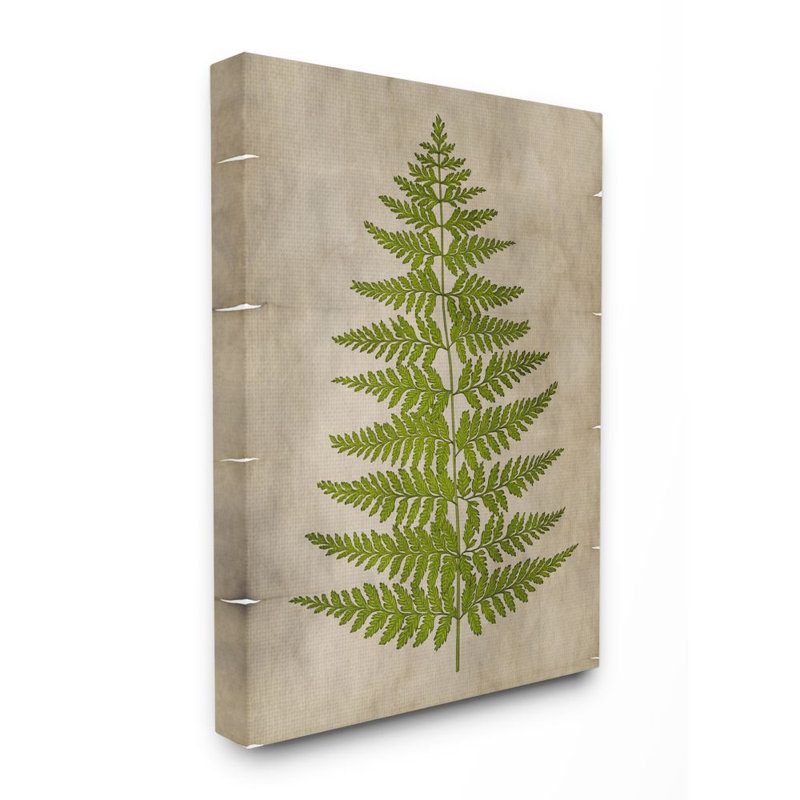 « plante green parchemin », impression, H 36 po x l 48 po x P 1,5 po, Toile tendue