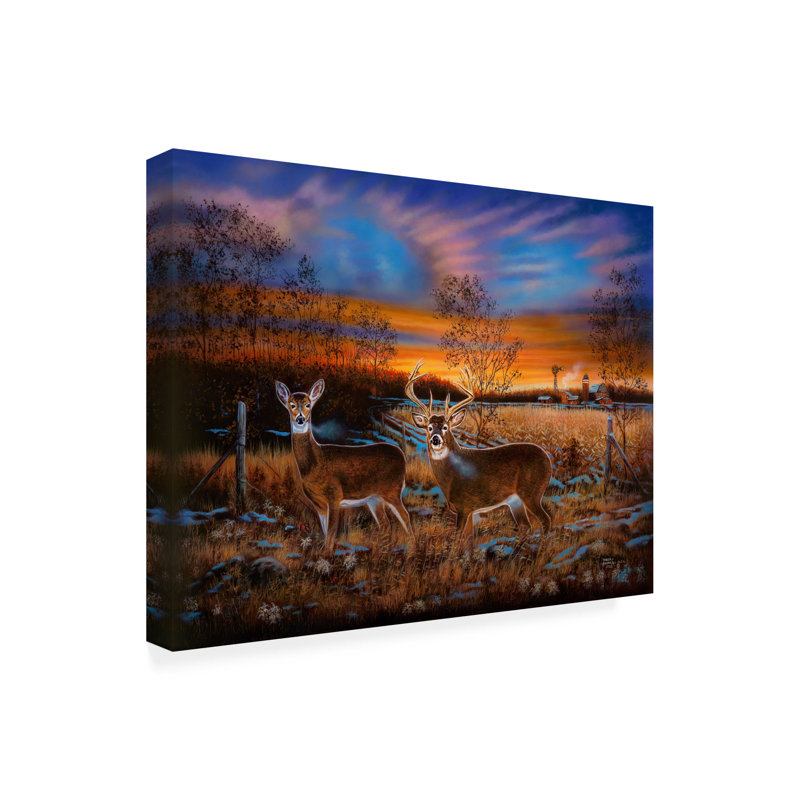 Art sur toile 40, bolle Robert Andrea, H 14 po x l 19 po