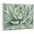 White Framed Canvas is unavailable