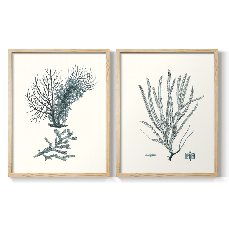 Antique encadré corail VI - impression encadrée de qualité supérieure - prêt à être accroché - aucun clou requis - aucun clou requis