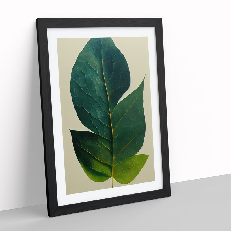 Single Plant Leaf No.2 - Framed Print, Black Framed, 34cm H x 25cm W x 2cm D