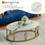 Table basse moderne ovale