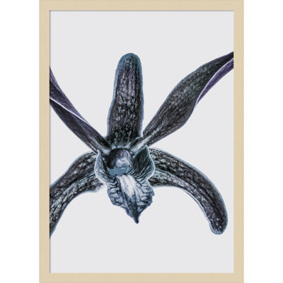 Parkerfield "Orchid" Print by Shot by Clint