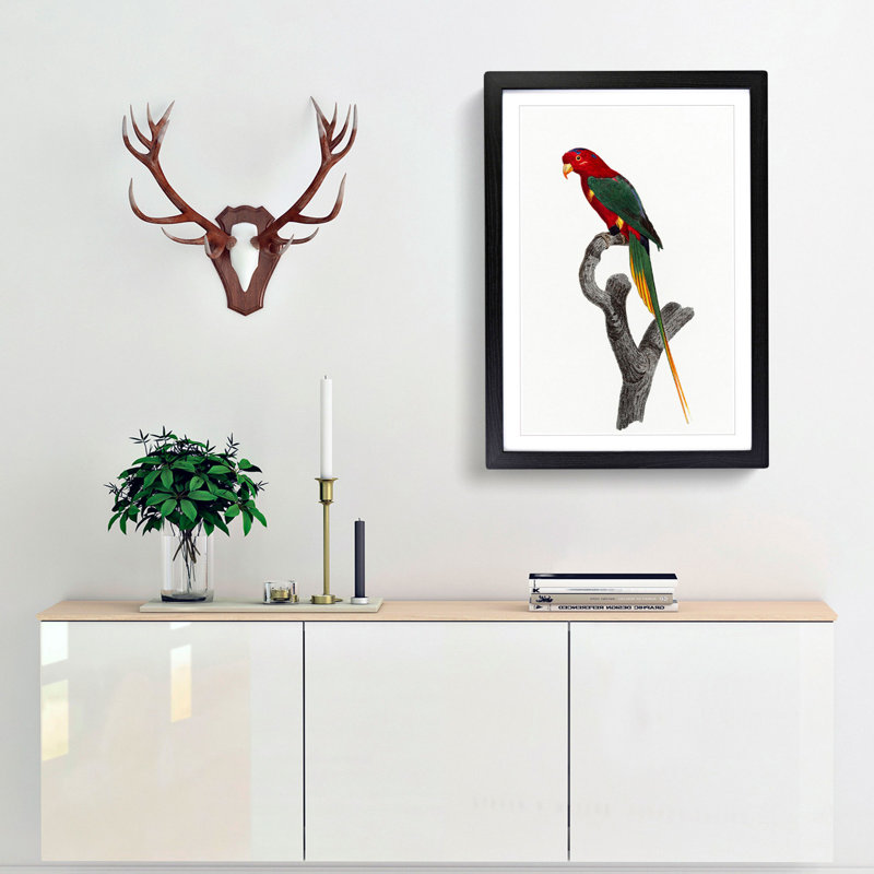 Papuan Lorikeet by F. Levaillant - Picture Frame Painting Print, 36cm H x 27cm W x 2cm D, Black Framed