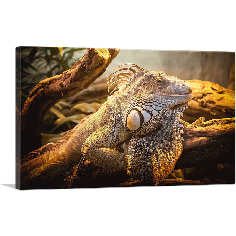 Lézard Home Decor - reproduction de photo sur toile tendue, H 18 po x l 26 po x P 1,5 po