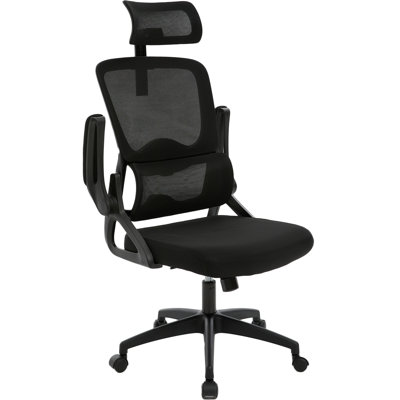 Neva Mesh Office Ergonomic Task Chair