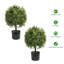 50cm Faux Plant in PVC Pot
