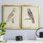 Barn Owl - Ensemble de 2 peintures sur toile encadrées-42979504-42979505
