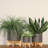 8" Planter W/ Wood Stand, Matte Gray-1696380816