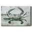 Toile tendue crabe neutre I-Gallery-146863056