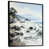 Black Floater Framed