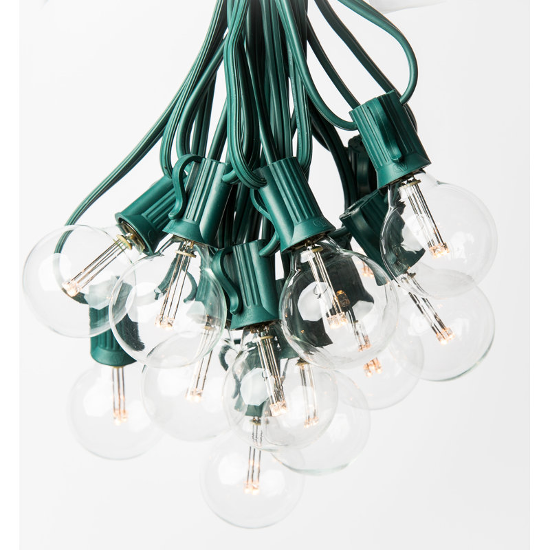 Guirlande de lumières Reyna, 25 pi, Vert