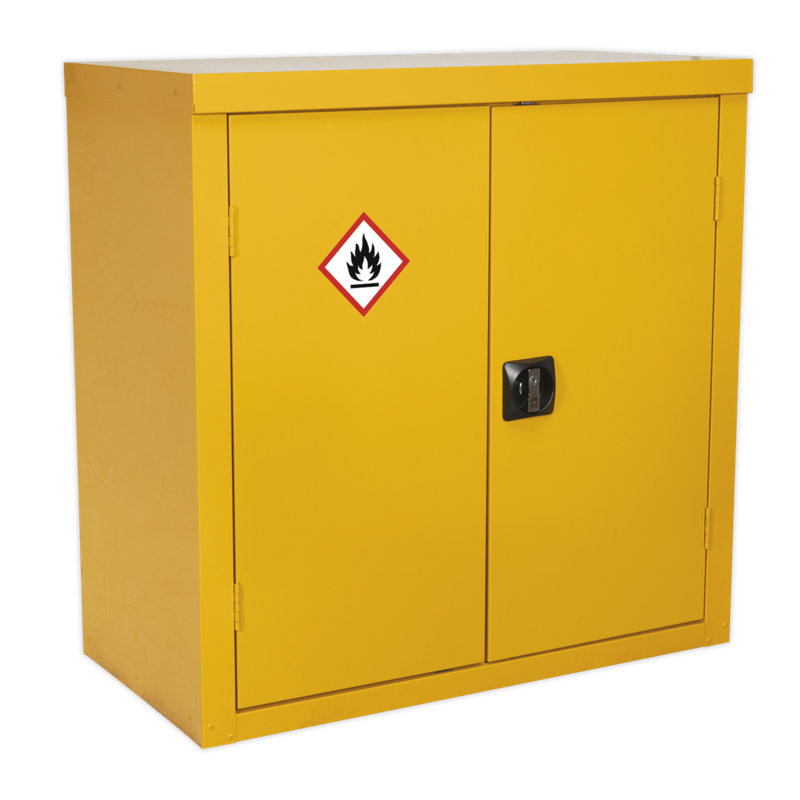 Robena Metal Safety Cabinet