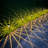 Matte Black Solar Powered Integrated LED Pathway Light Pack