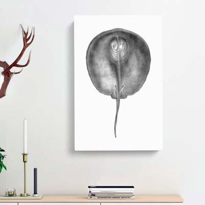Stingray Illustration - Wrapped Canvas Print