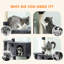 Cat Tree-119765482-119765495