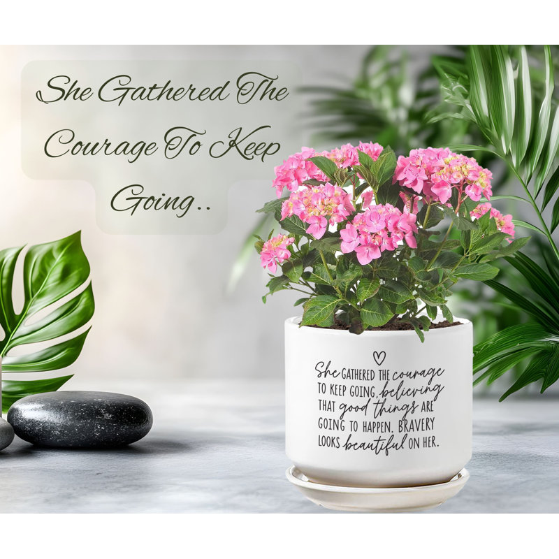 Planter She Gathered The Courage
