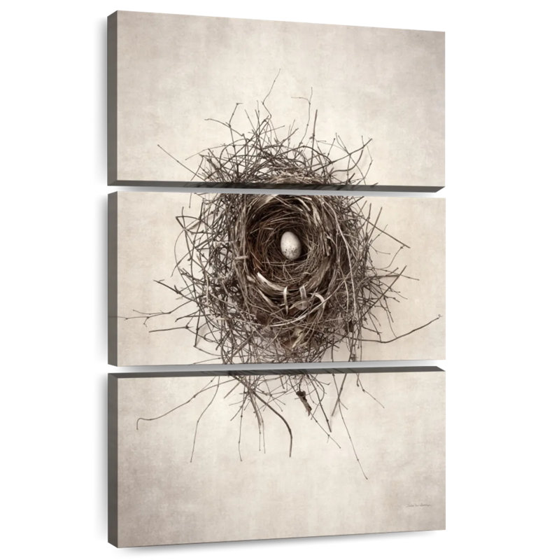 Brampt Nest, 65" H x 42" W