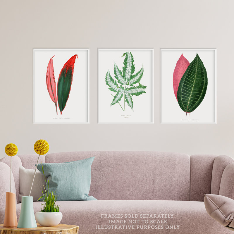 Fern Frond Red Green Plant Leaves Botany Vintage Botanical Aesthetic - 3 Piece No Frame Print Set