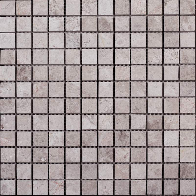 1x1 POLISHED, Silver Shadow