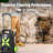 Electric Pressure Washer