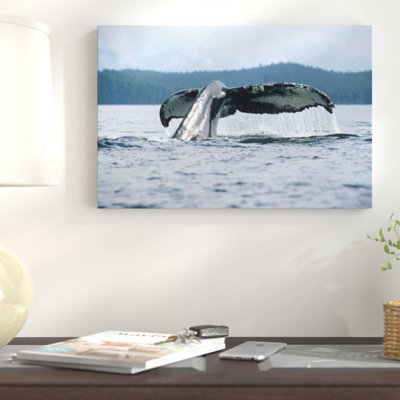 " Humpback Whale Tail, Alaska "