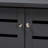 Medellin 2-Door Shoe Storage Cabinet in Dark Grey Finish, 38.3'' H X 30'' W X 13.1'' D