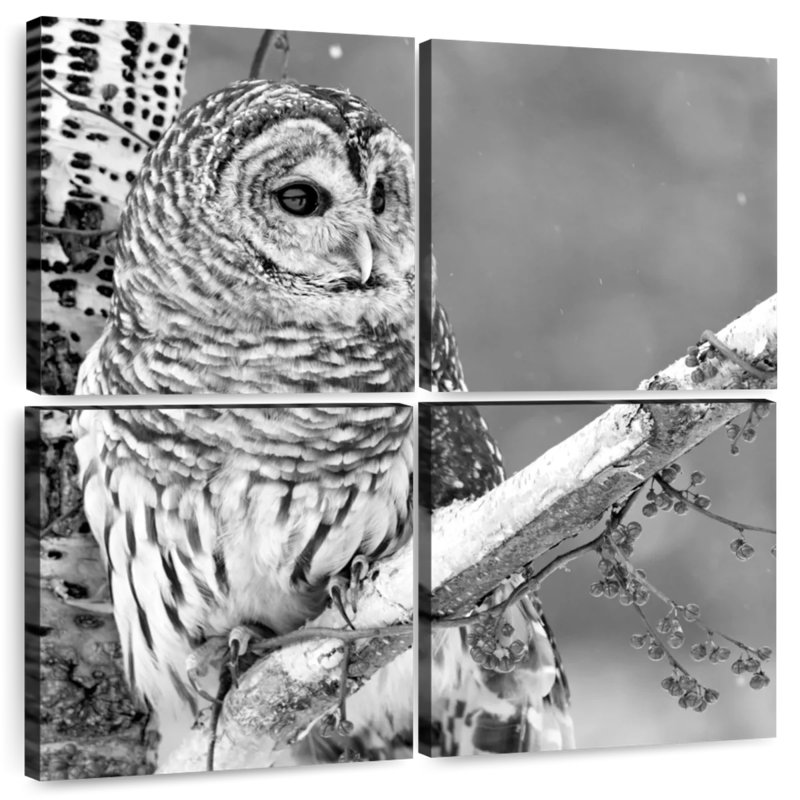 Hibou blanc Brampt BW, H 26 po x l 26 po